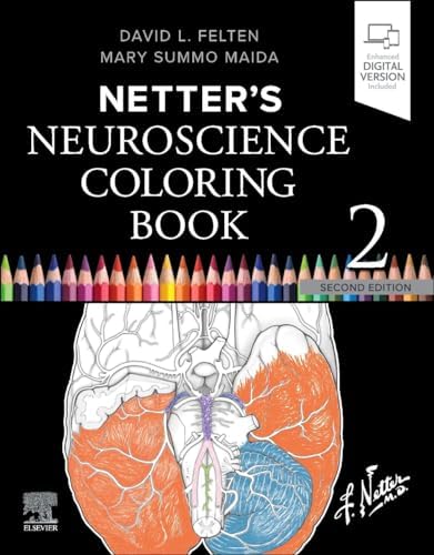 A Colorful Introduction to the Anatomy of the Human Brain: A Brain